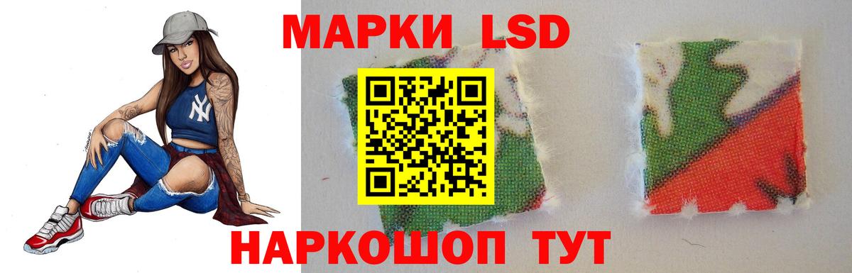ЛСД экстази ecstasy  Вход с VPN  Лсд 25 экстази  Лсд 25 экстази ecstasy  Курчалой 