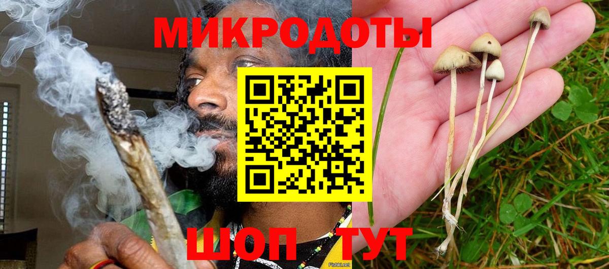 Галлюциногенные грибы ЛСД Курчалой