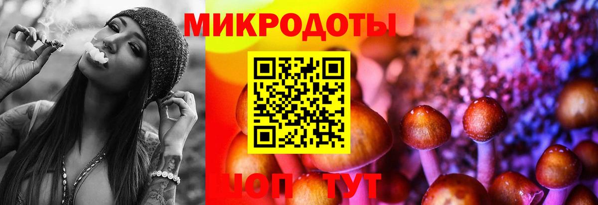 Галлюциногенные грибы Cubensis  Галлюциногенные грибы мухоморы  Вход с VPN  Курчалой 