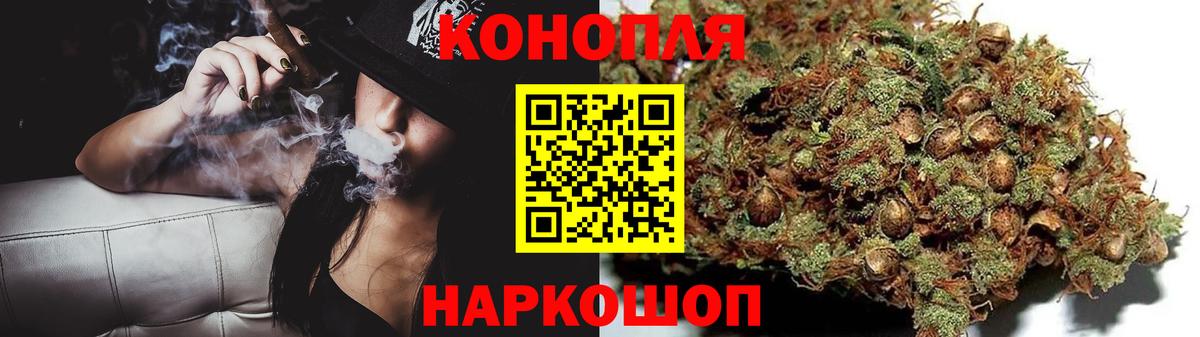 Курчалой  Бошки Шишки тримм  Каннабис гибрид  Каннабис Bruce Banner  Вход с VPN  Бошки марихуана семена 